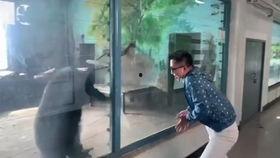 国产化妆品翻车视频大全,揭秘网红产品背后的真相  第1张