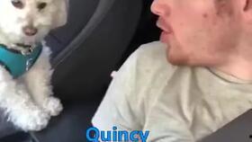 国产单身狗视频在线,揭秘当代单身生活百态 第2张 国产单身狗视频在线,揭秘当代单身生活百态 第2张