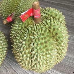 国产榴莲小视频,短视频里的热带风情与味蕾诱惑