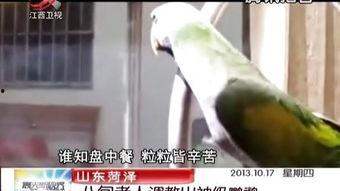 国产室外调教男奴视频,揭秘隐秘的欲望世界  第2张